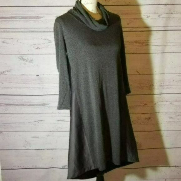 Anthropologie Tops - Anthropologie Saturday Sunday Turtle Neck Tunic